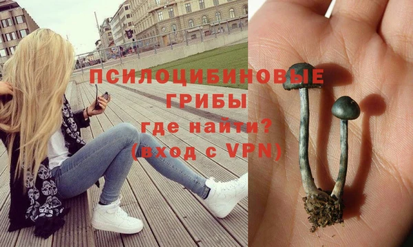 spice Володарск